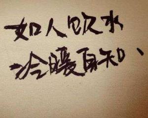 寒天飲水，冷暖自知 人生幾許會如意打一正确生肖，详细解答、科学解答解释落实